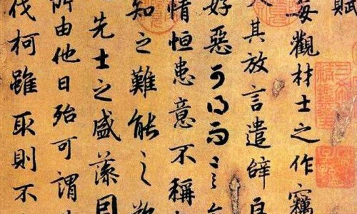羊肉加什么中药材最好-羊肉能加什么中药网 - 为你提供羊肉加什么中药补肾壮阳、羊肉加什么中药不上火