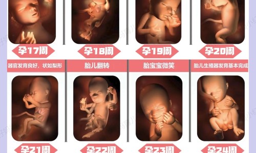 怀孕可以吃胡麻油吗？怀孕吃什么比较好