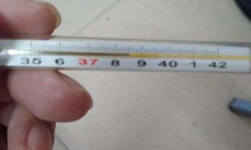羊肉加什么中药治腰疼最好-羊肉能加什么中药网 - 为你提供羊肉加什么中药补肾壮阳、羊肉加什么中药不上火